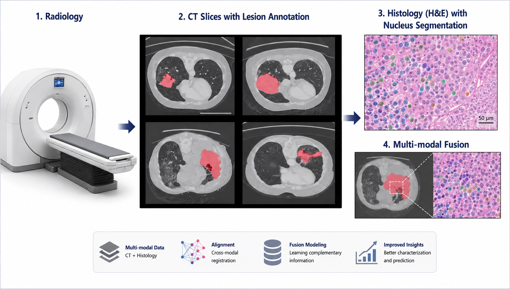 Illustration of foundation models for multimodal medical imaging
